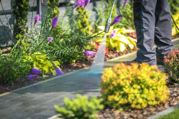 Best Sidewalk and Walkway Cleaning  in Lebanon, IN